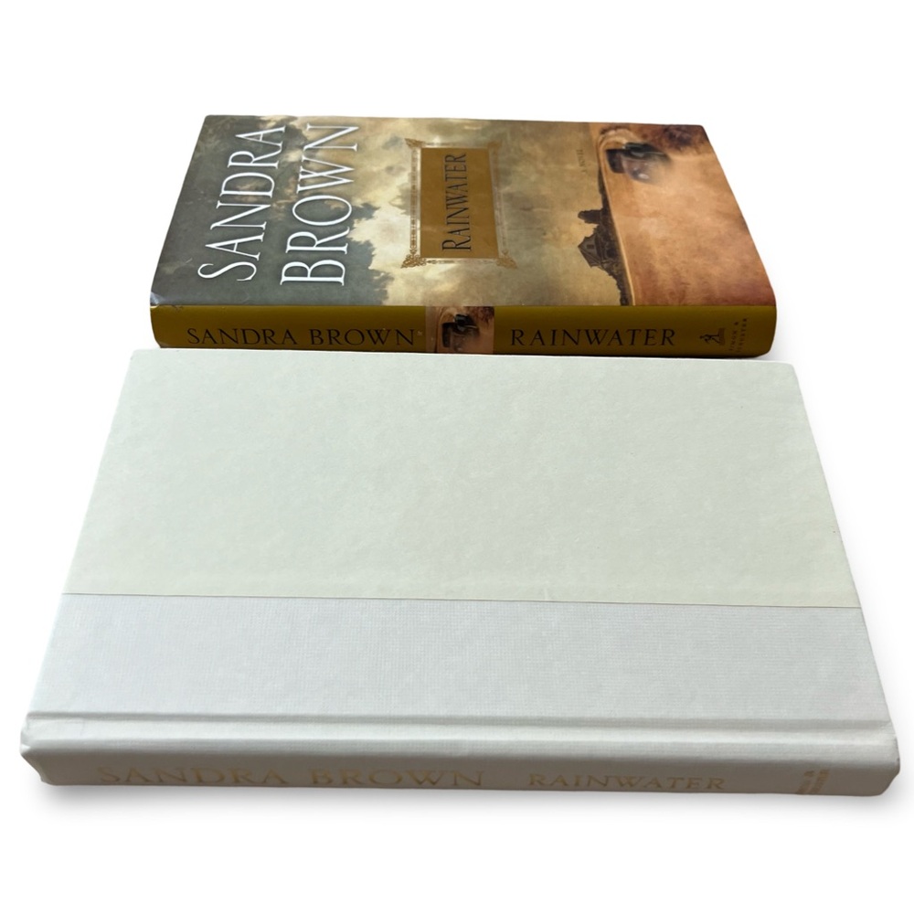 Rainwater by Sandra Brown Hardcover 1st Edition 2009 Bestseller Texas Fiction